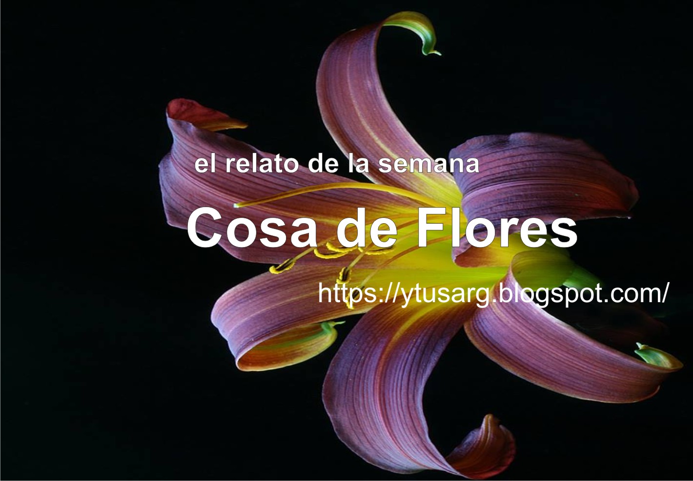 Cosas de flores